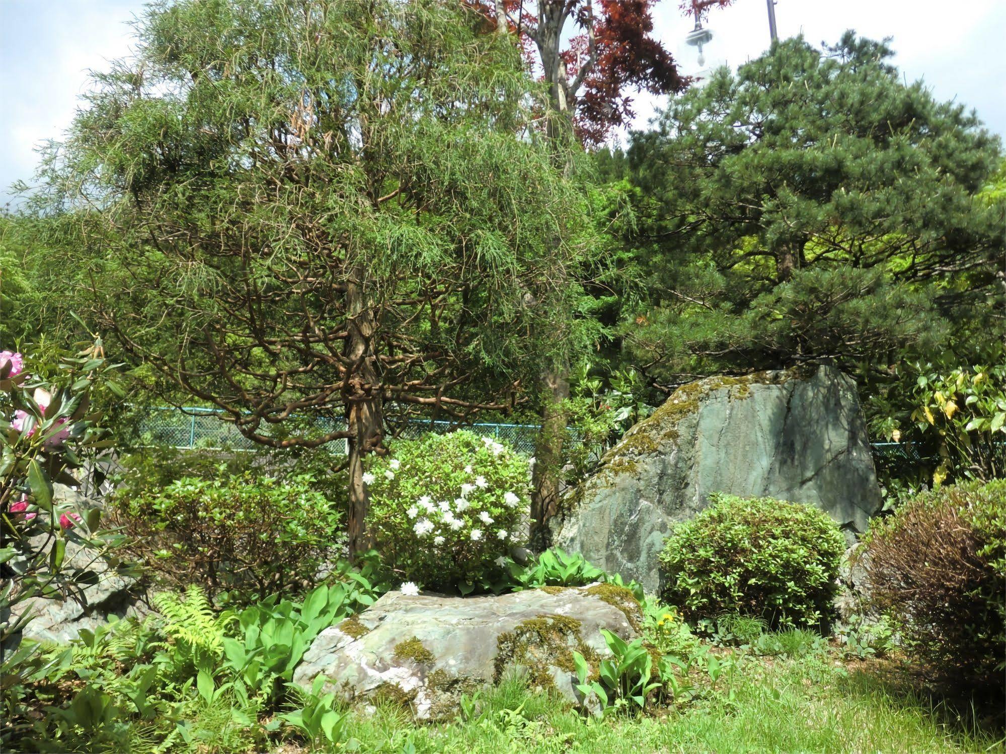 Onsen Minshuku Sakaeya Hotel Shizukuishi Eksteriør billede